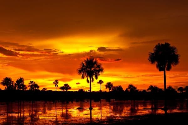 Atardecer llanero